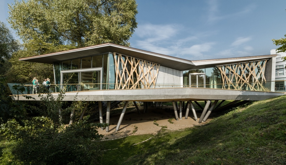 The Treehouse-Inspired Maggie’s Centre in Oxford