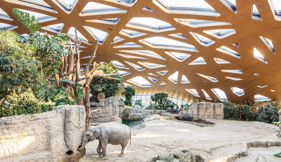 A Humane Home for Elephants at Zoo Zurich