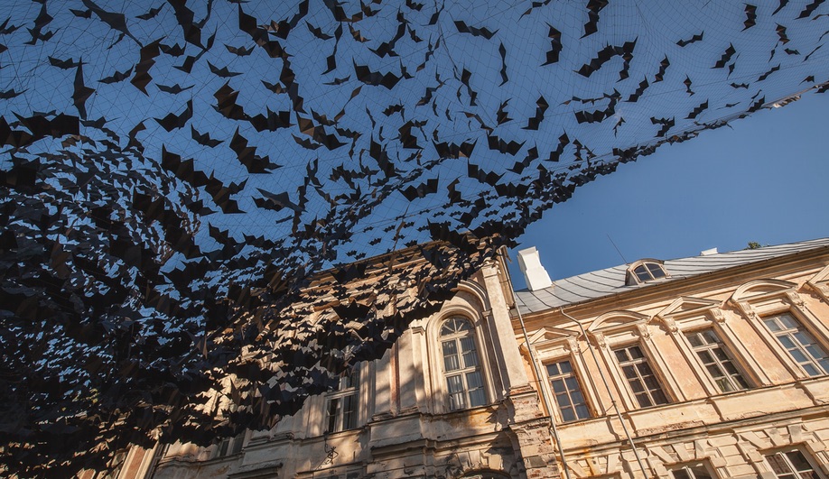 Didzis Jaunzems Conjures Up a Swarm of Bats in Latvia