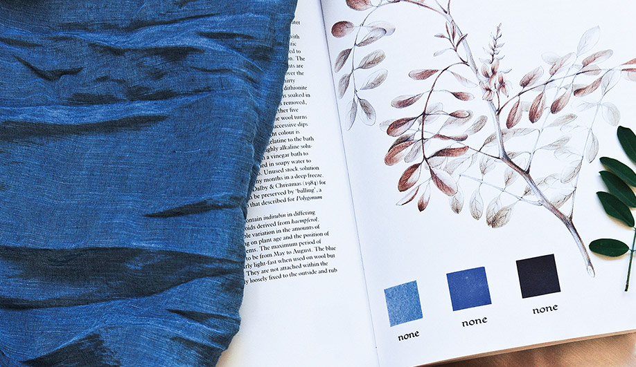 These Colour Creators Are Turning Plants into Beautiful, Earth-Friendly Dyes