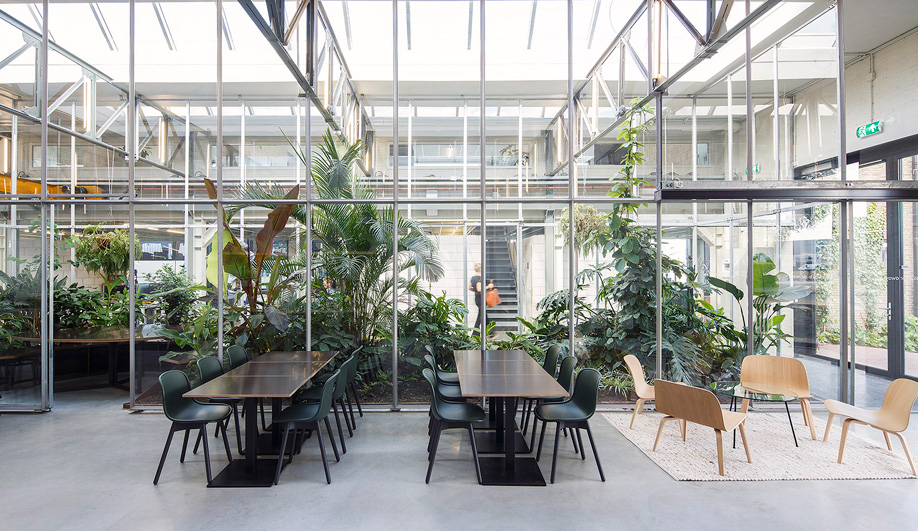 A Foliage Filled Office By Space Encounters