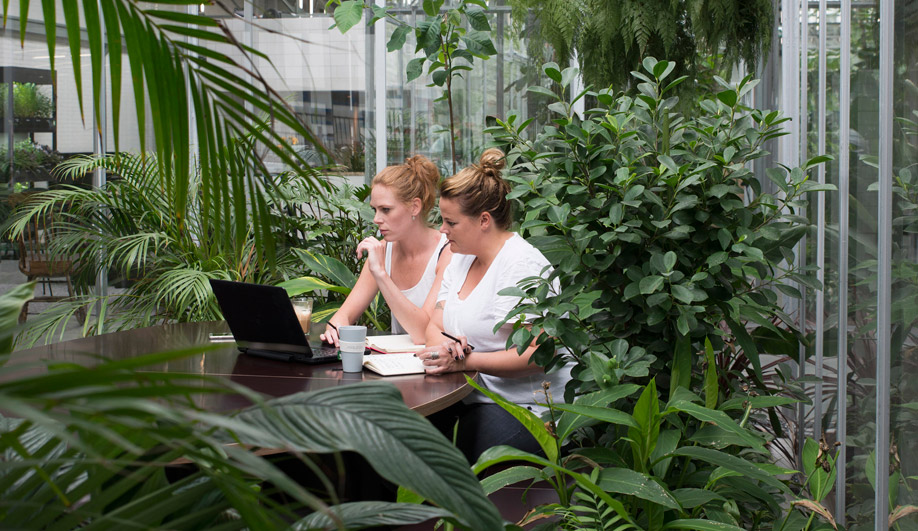 Employees book time to work inside one of three extensive greenhouses.