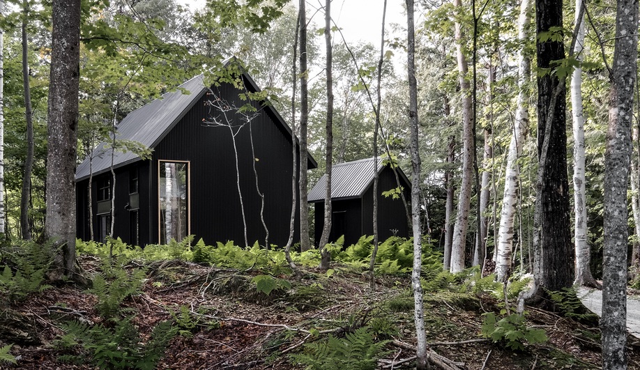 Pitch Black: Peaked Roof Houses with Dark Cladding