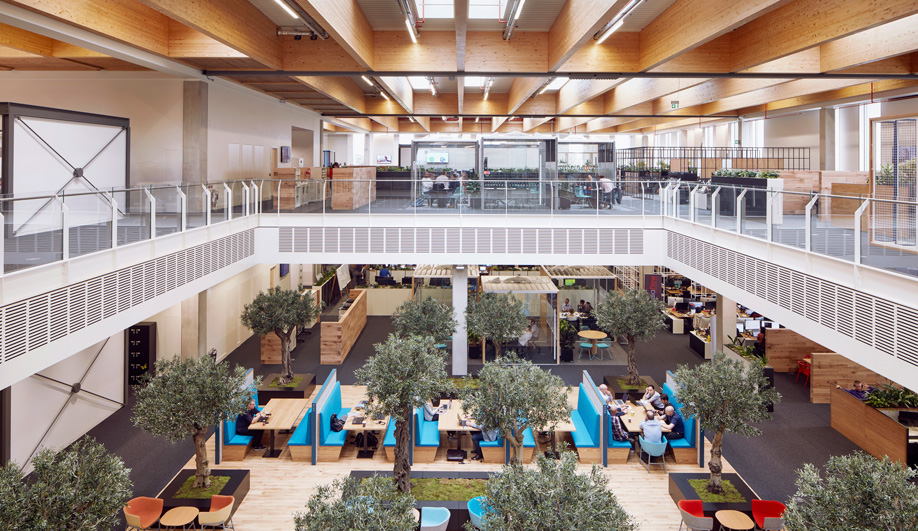 Biophilic Design is Bringing Nature into the Office