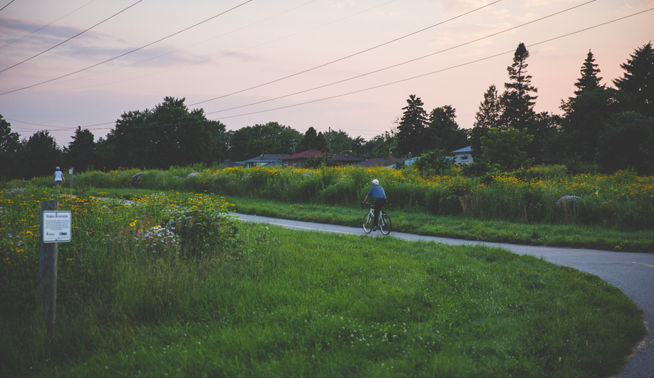 Canadian green space renewals: