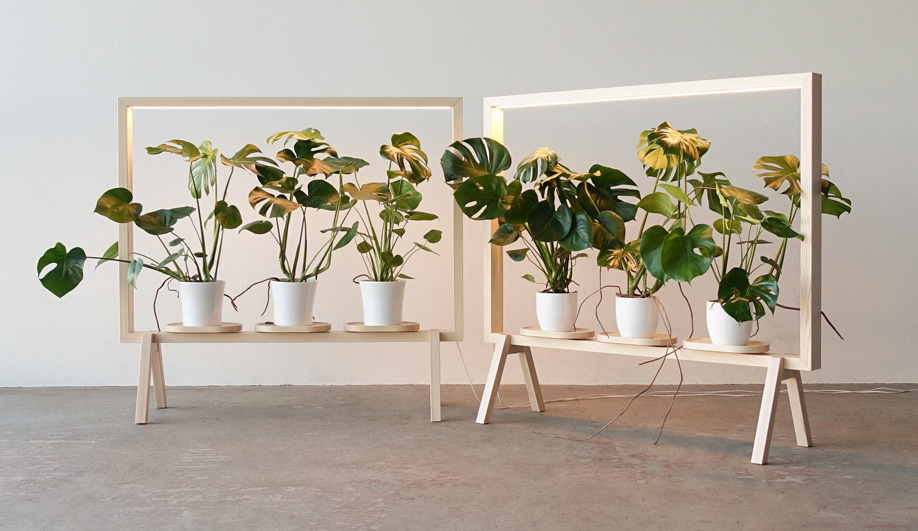 These Indoor Plant Lights Elegantly Sustain Greenery
