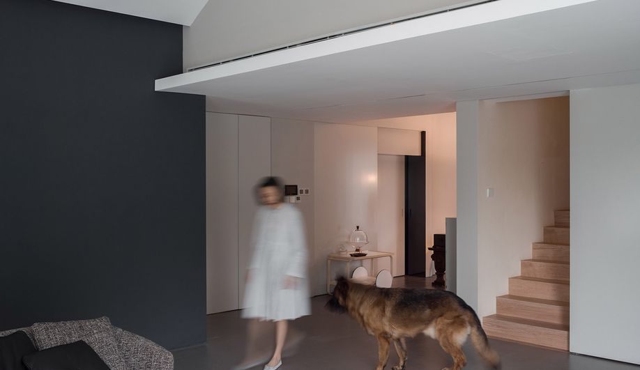 Dog House Design: Atelier About Architecture built a home for humans and dogs.
