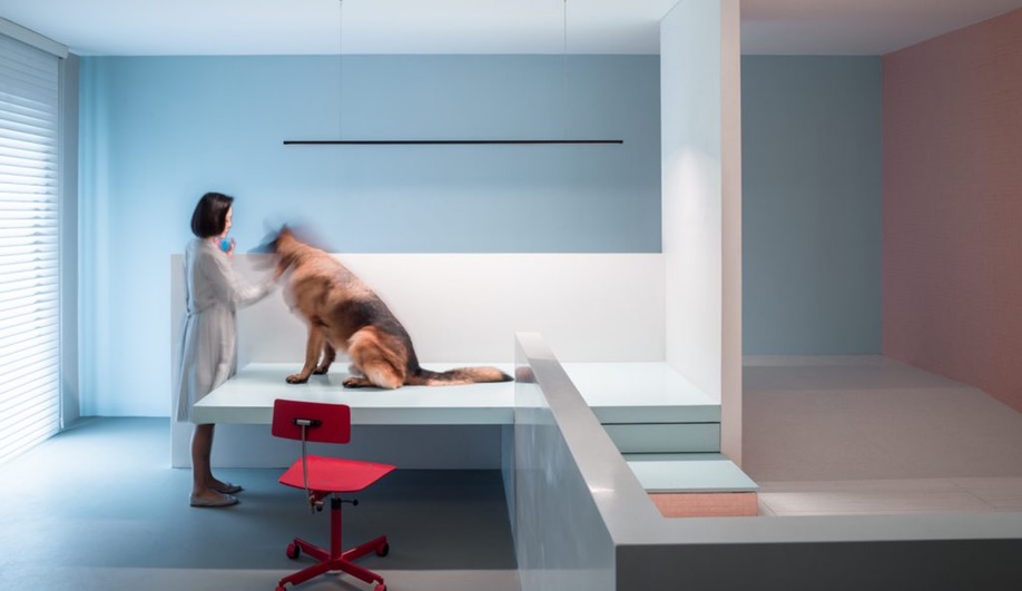 Dog House Design: Atelier About Architecture developed a custom examination table for dogs.
