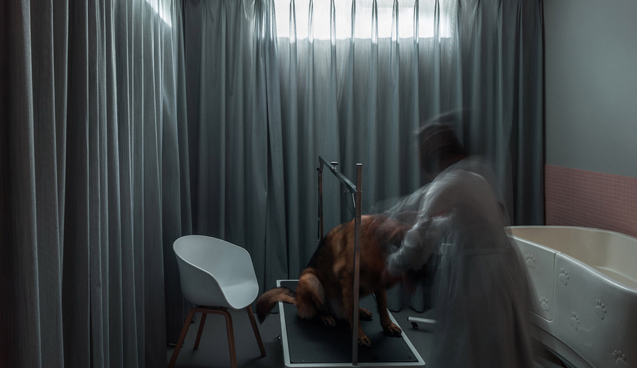 Dog House Design: Atelier About Architecture used Kvadrat acoustic drapes in one bathroom.