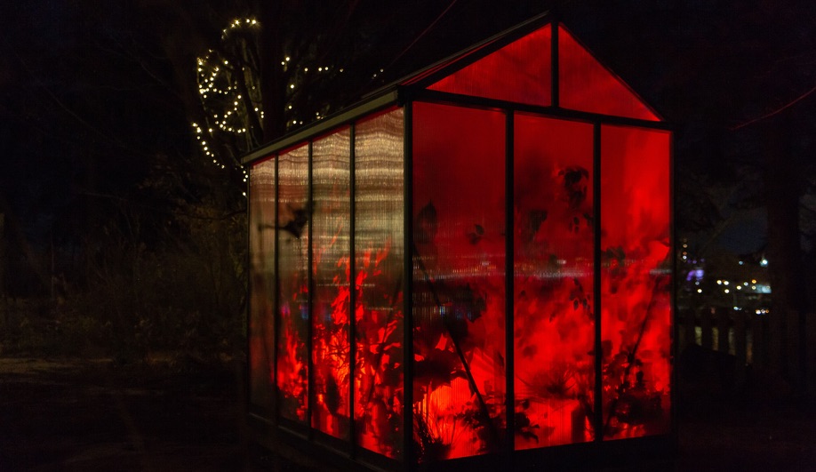 Winter Lights Toronto: Layne Hinton’s Greenhouse 